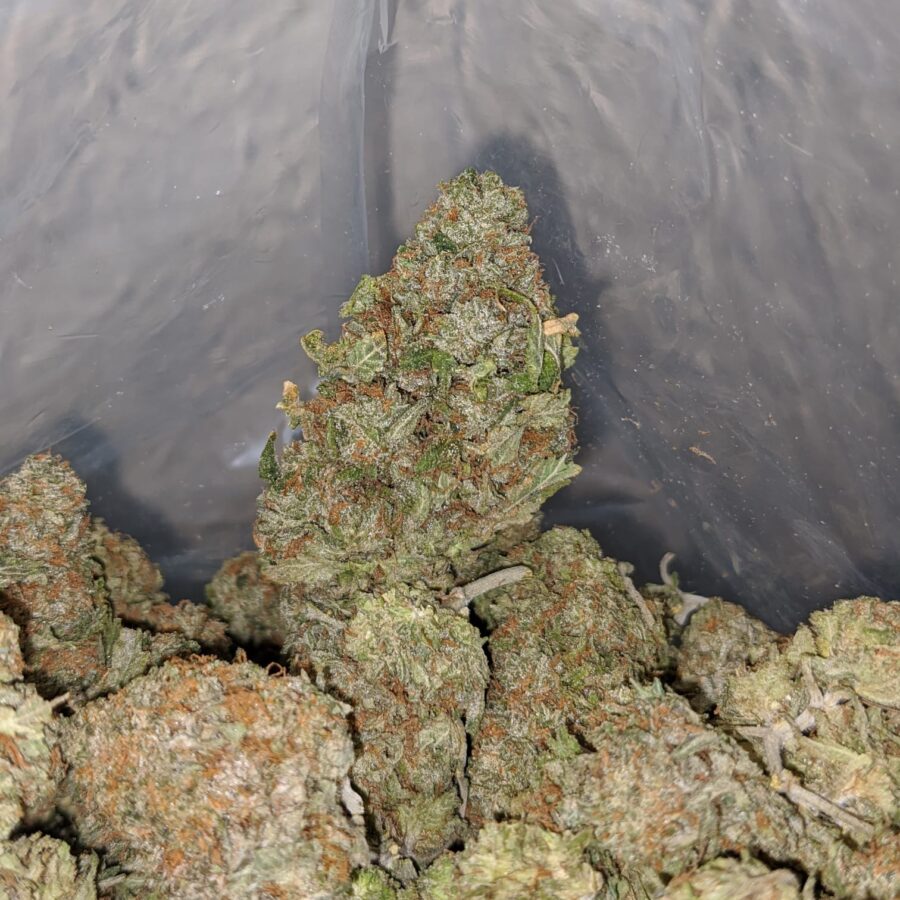Buy Bulk Zkittlez Runtz *Deal Of The Day* Strain Cheap Weed Pounds(01)
