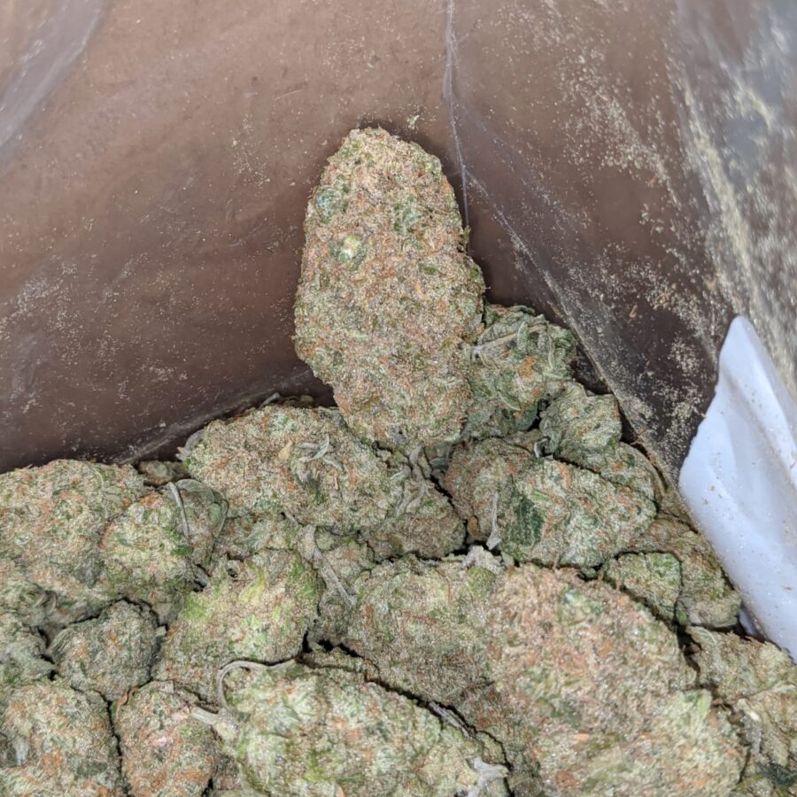 Buy Bulk Fruit Loops Strain Cheap Weed Pounds & Reviews