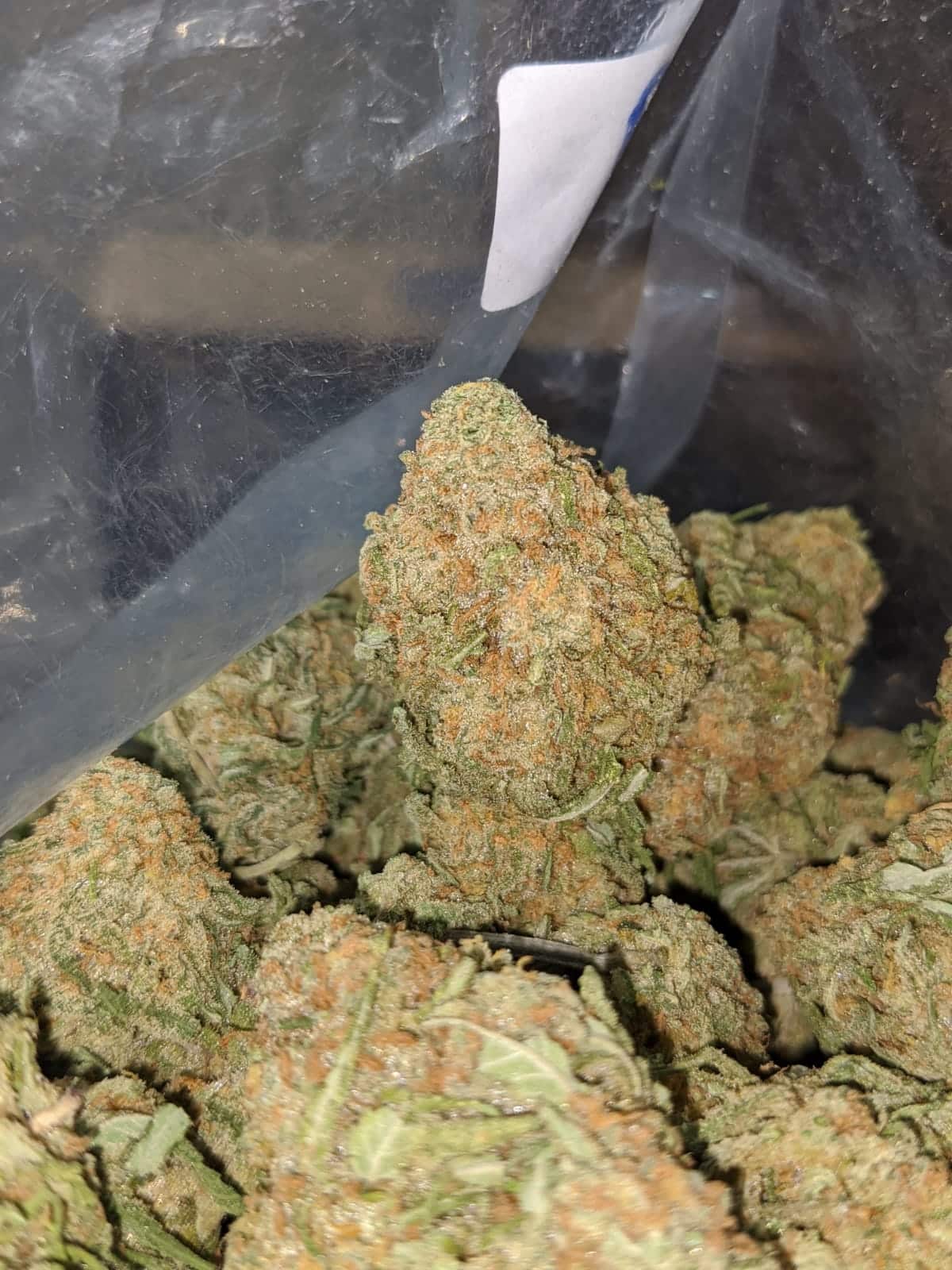 Buy Bulk 55 Oz Animal Crackers Strain Cheap Weed Pounds & Reviews