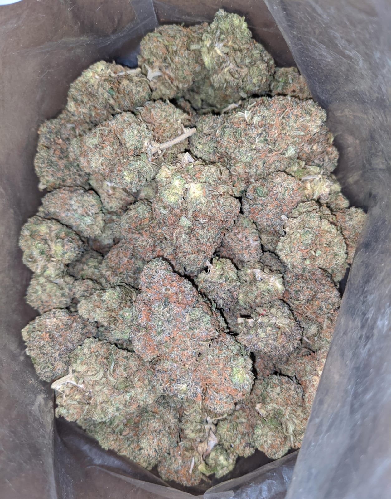 Buy Bulk 59 Oz Zkittles Strain Cheap Weed Pounds & Reviews