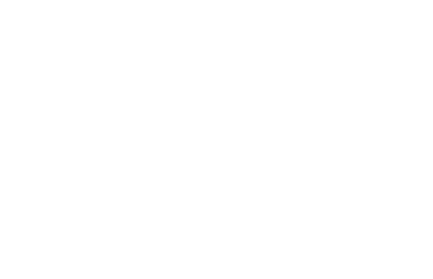 Postdoctoral Fellowship in Valuing Health CHEAR