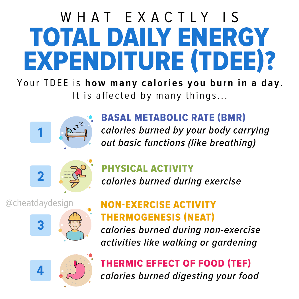 What Is Tdee & How Do You Calculate Yours?