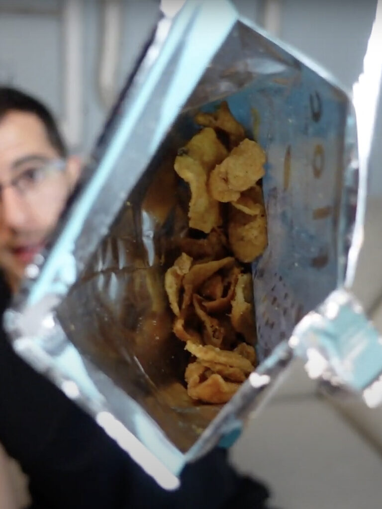 Fried Chicken Skin Chips My Review Of Flock Chicken Chips