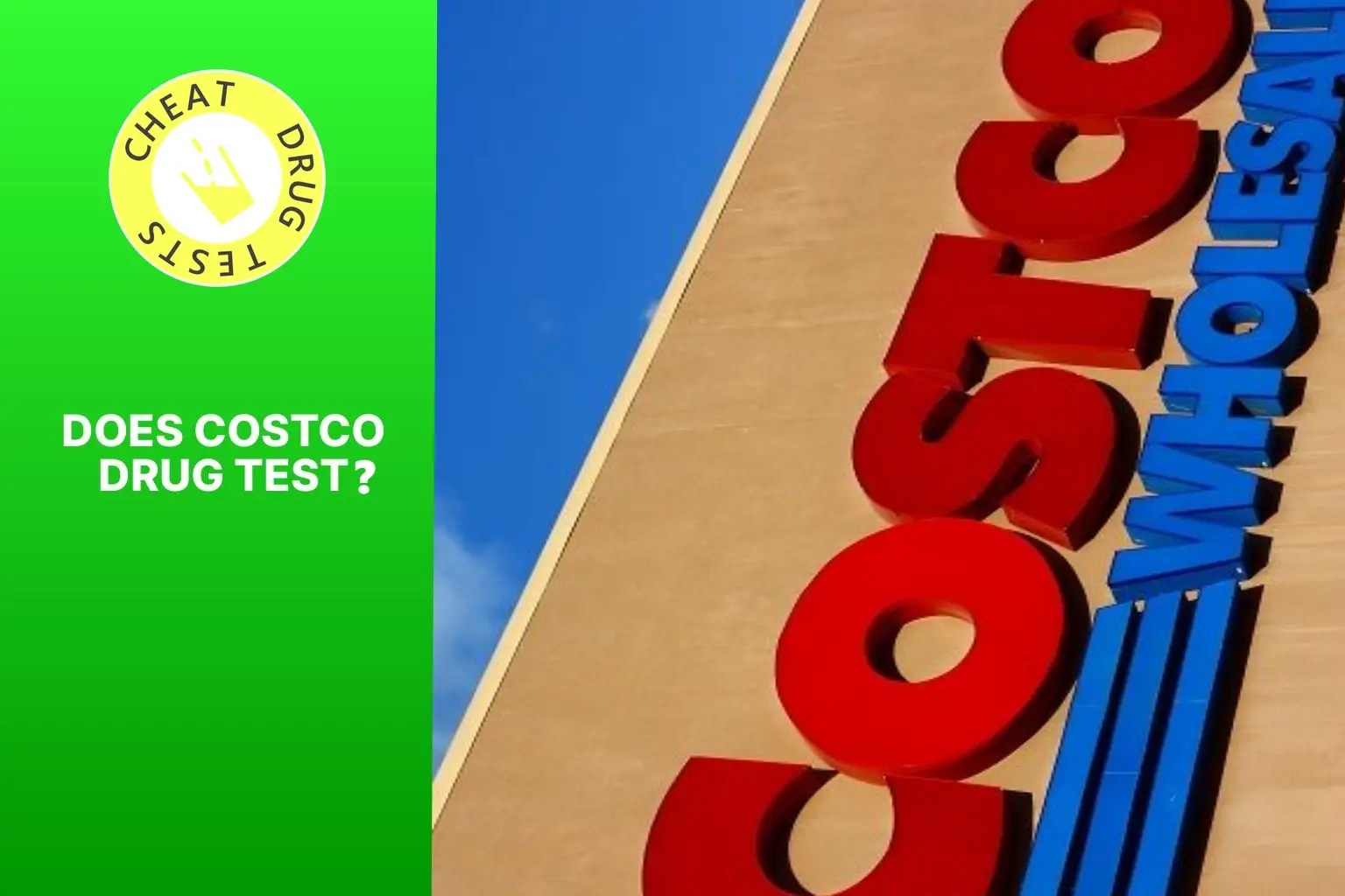 Does Costco Drug Test? Everything You Need to Know About PreEmployment Urine Tests at Costco
