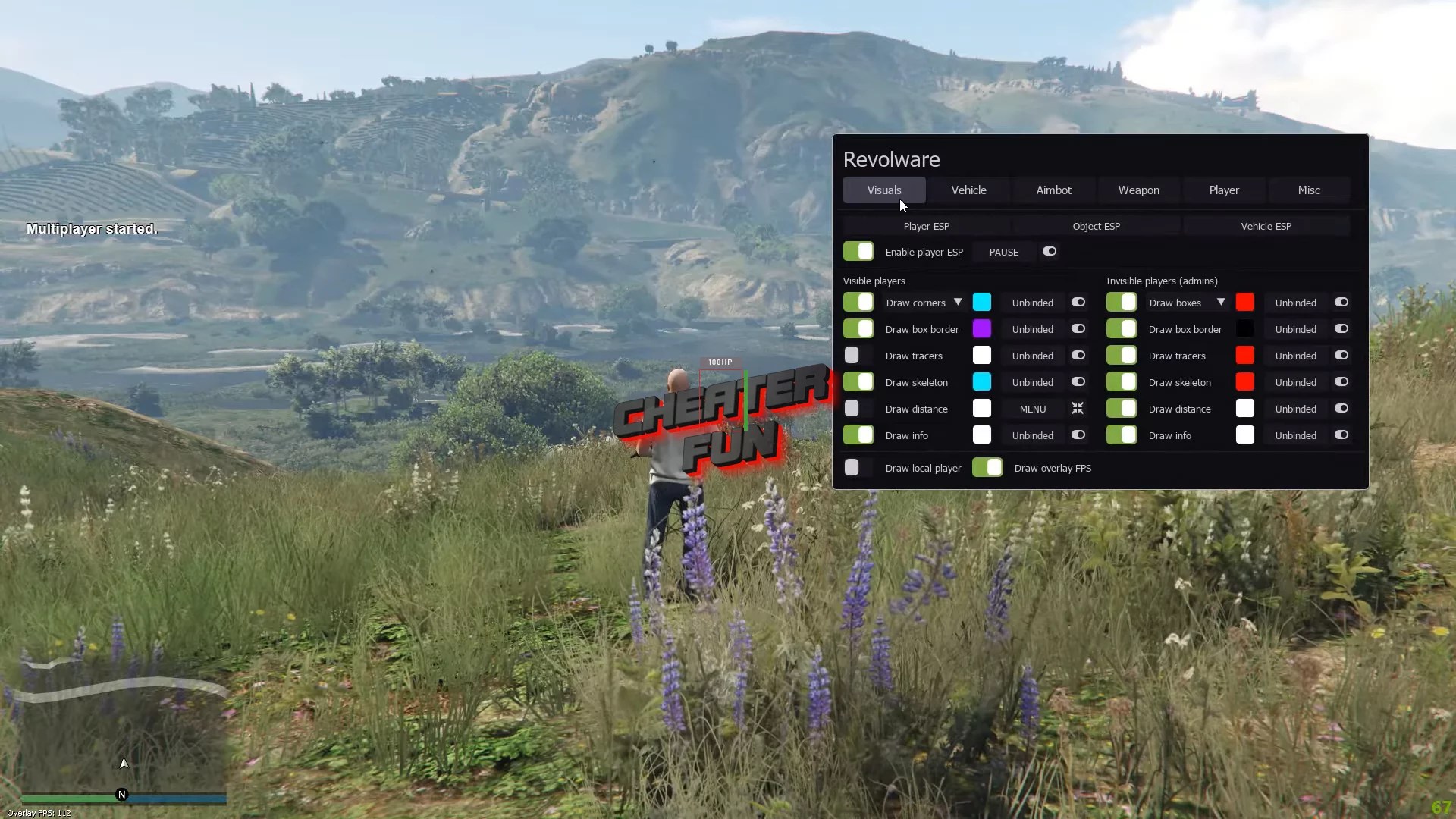 RageMP GTA V Cheat Free ESP, Godmode, Refill Health, Aim