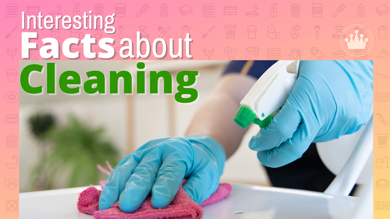 Interesting Facts About Cleaning Checkers Cleaning Supply