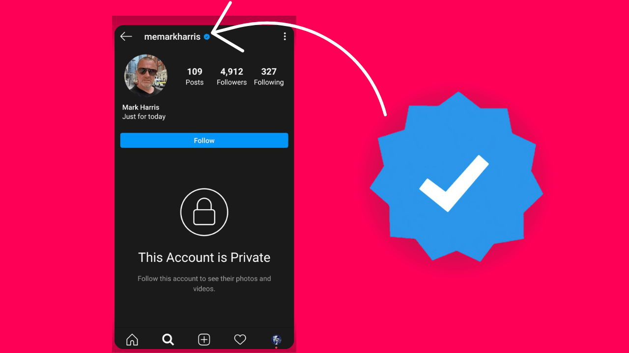 How Do I Get a Blue Checkmark on Instagram? CheckMark Blog