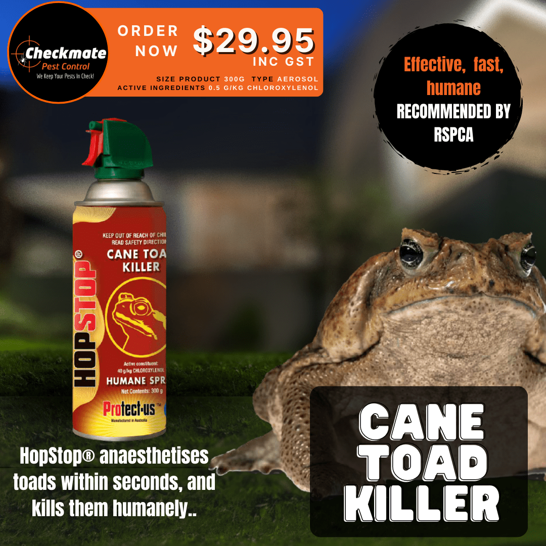 HopStop Cane Toad Spray Checkmate Pest Control