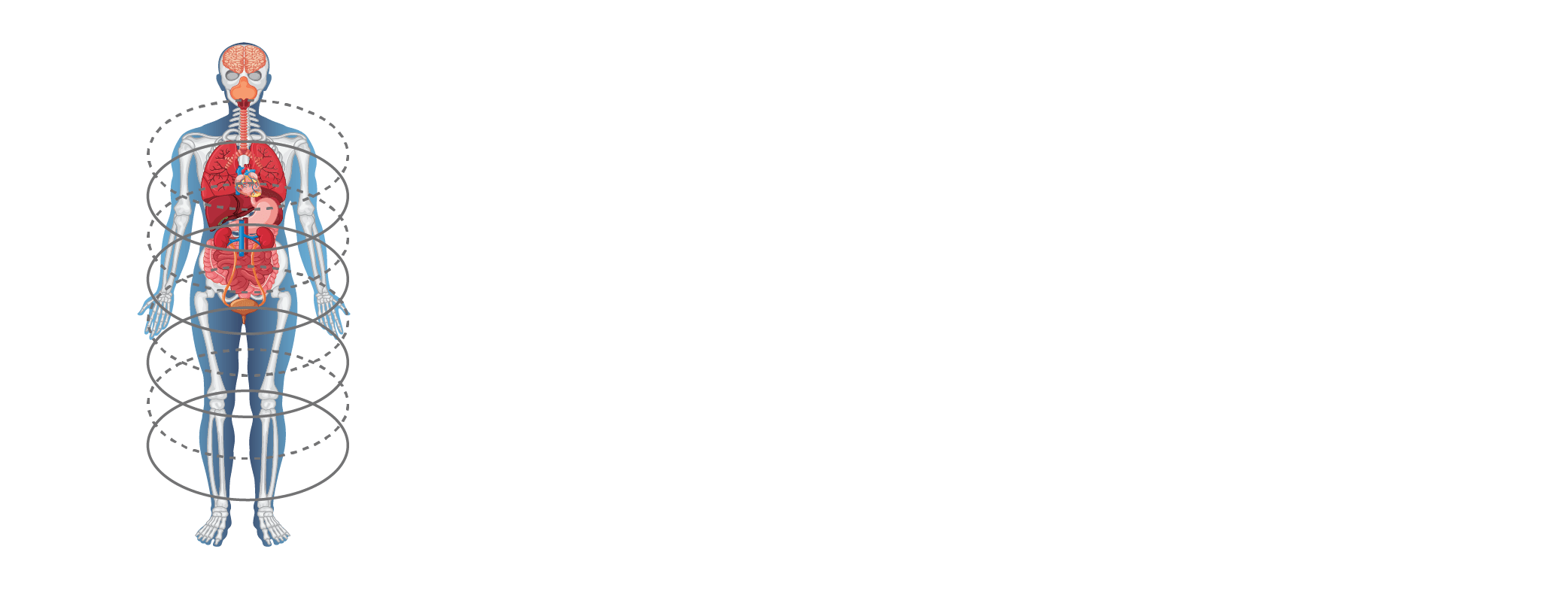 Understanding the Different Screening Methods Cancer Screening