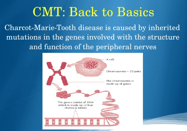 CharcotMarieTooth Disease Type 1A