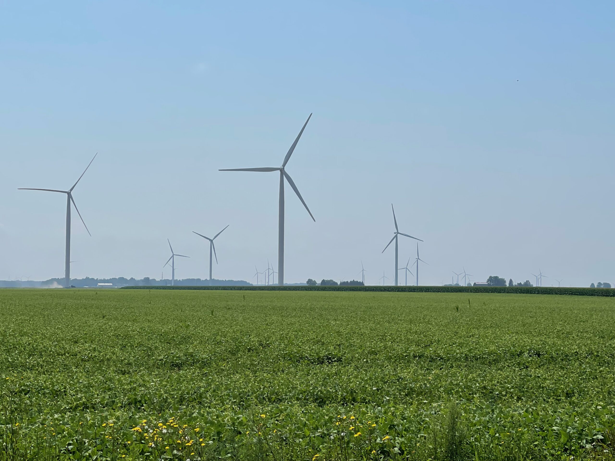 Despite Opponent Arguments, Wind Energy Fills Sails In Huron County
