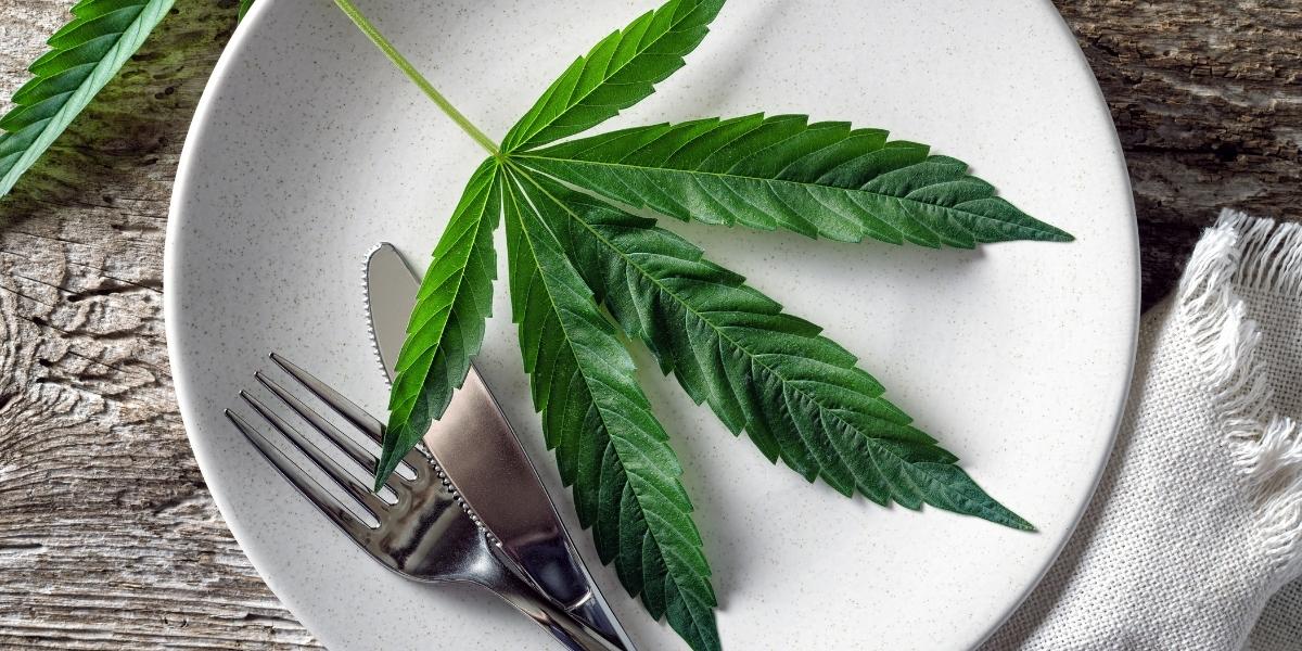 How Long Does An Edible High Last? Cheeba Cheebas