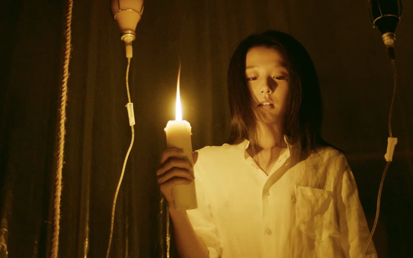 專題┃大大們的導演夢