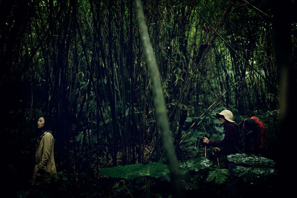 德布西森林：腦洞大開之必要┃影評