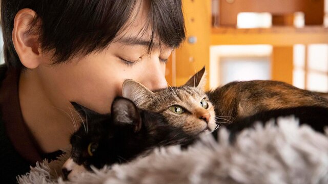 綾部真彌（綾部 真弥 MAYA AYABE）2023七八月 府中15「焦點影人」