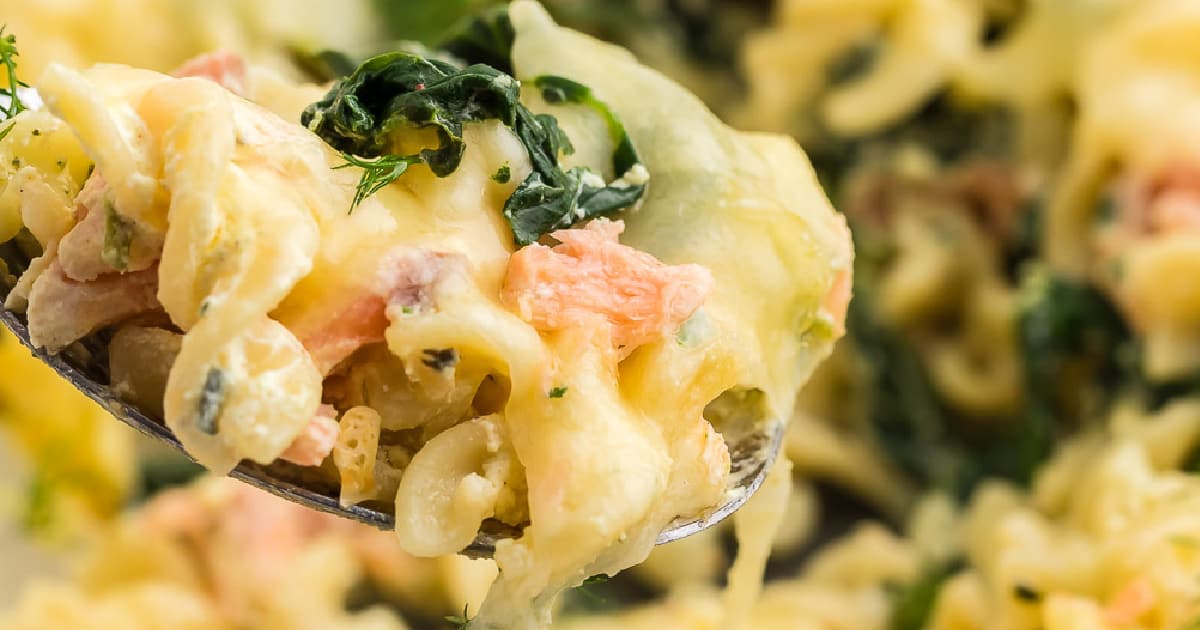 Easy Cheesy Salmon Casserole Recipe The Cheerful Cook