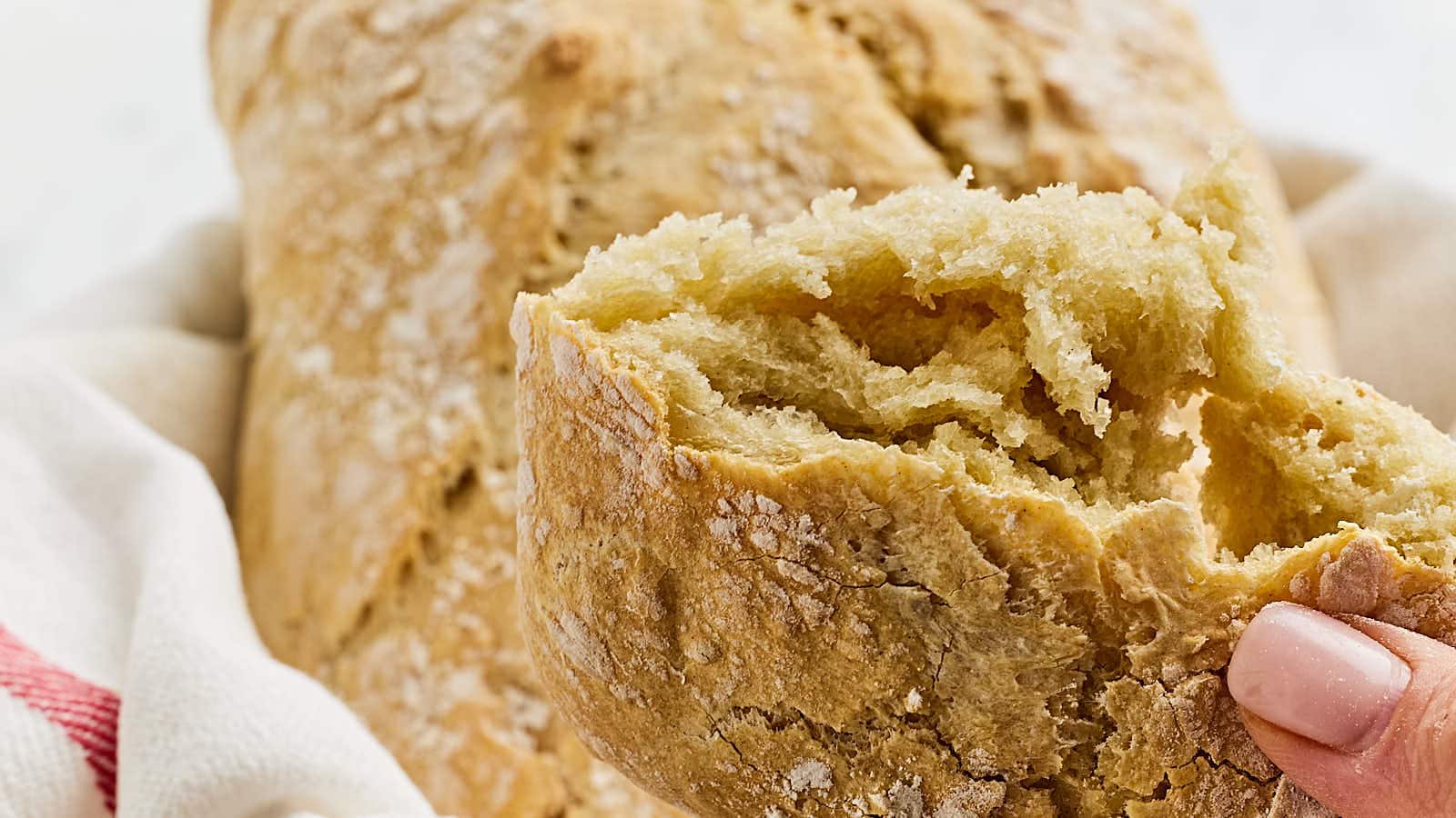 Easy 3 Ingredient Bread (Steam Baked, 35 min) Cheerful Cook