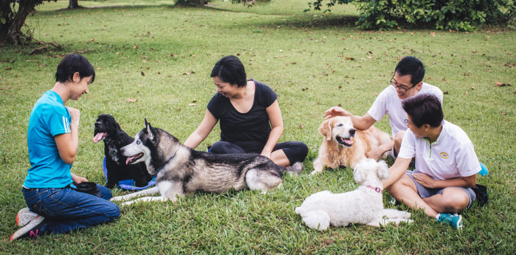 Certified Dog Behaviour Consultant PhD, CDBC, CPDTKA, CSAT