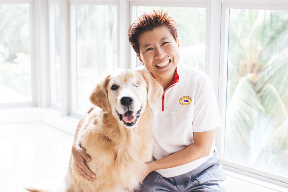 Forcefree Dog Training Singapore Certified Dog Behaviour Consultant