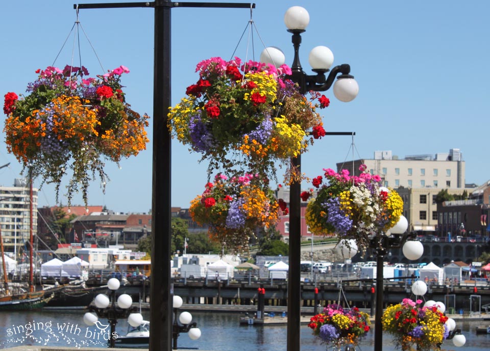 VictoriaBCFlowerBaskets Cheery Kitchen