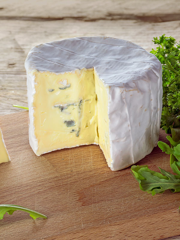 Penicillium Roqueforti Culture for blue mould ripened cheeses