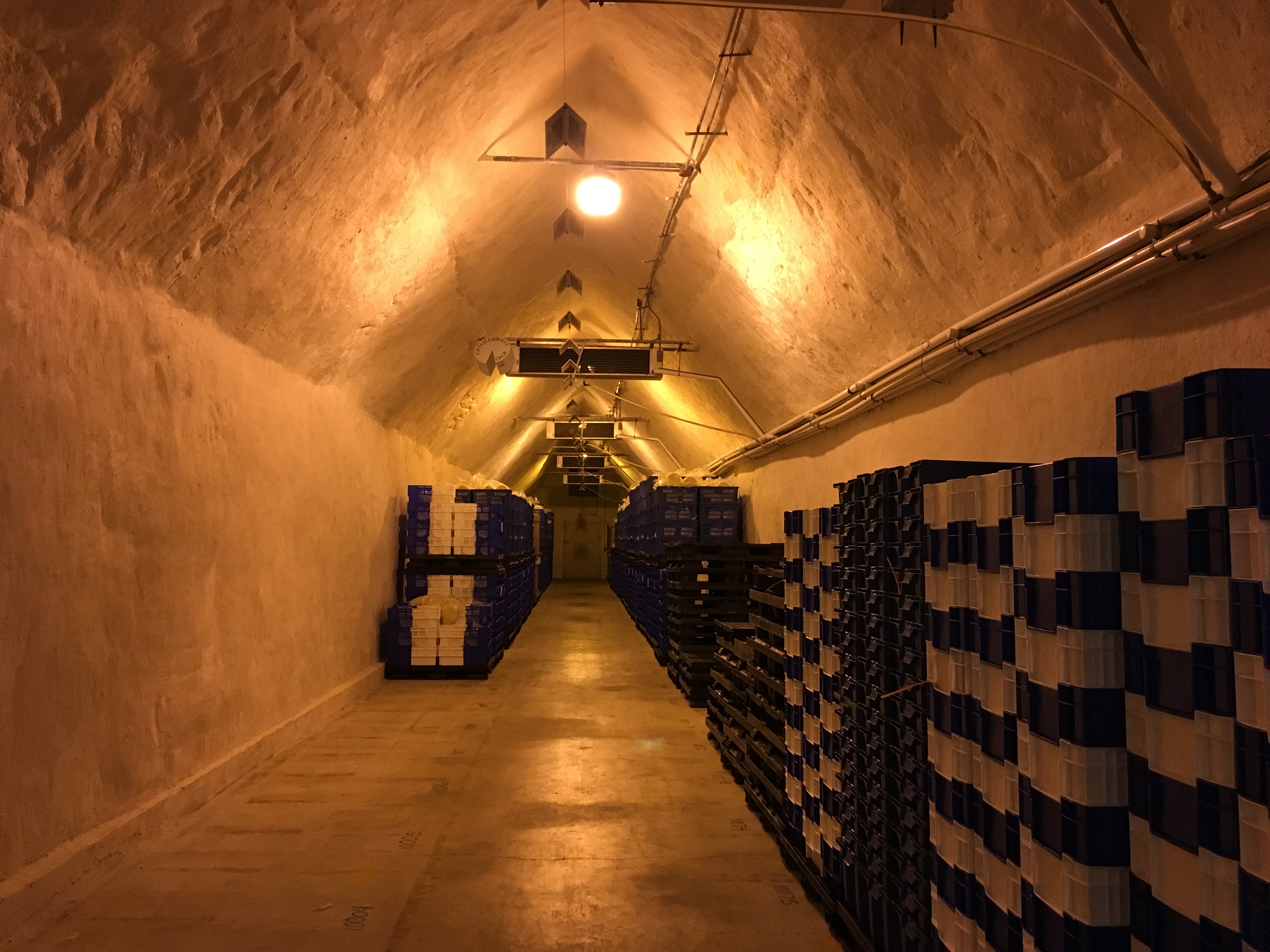 The Caves of Faribault Cheese Underground