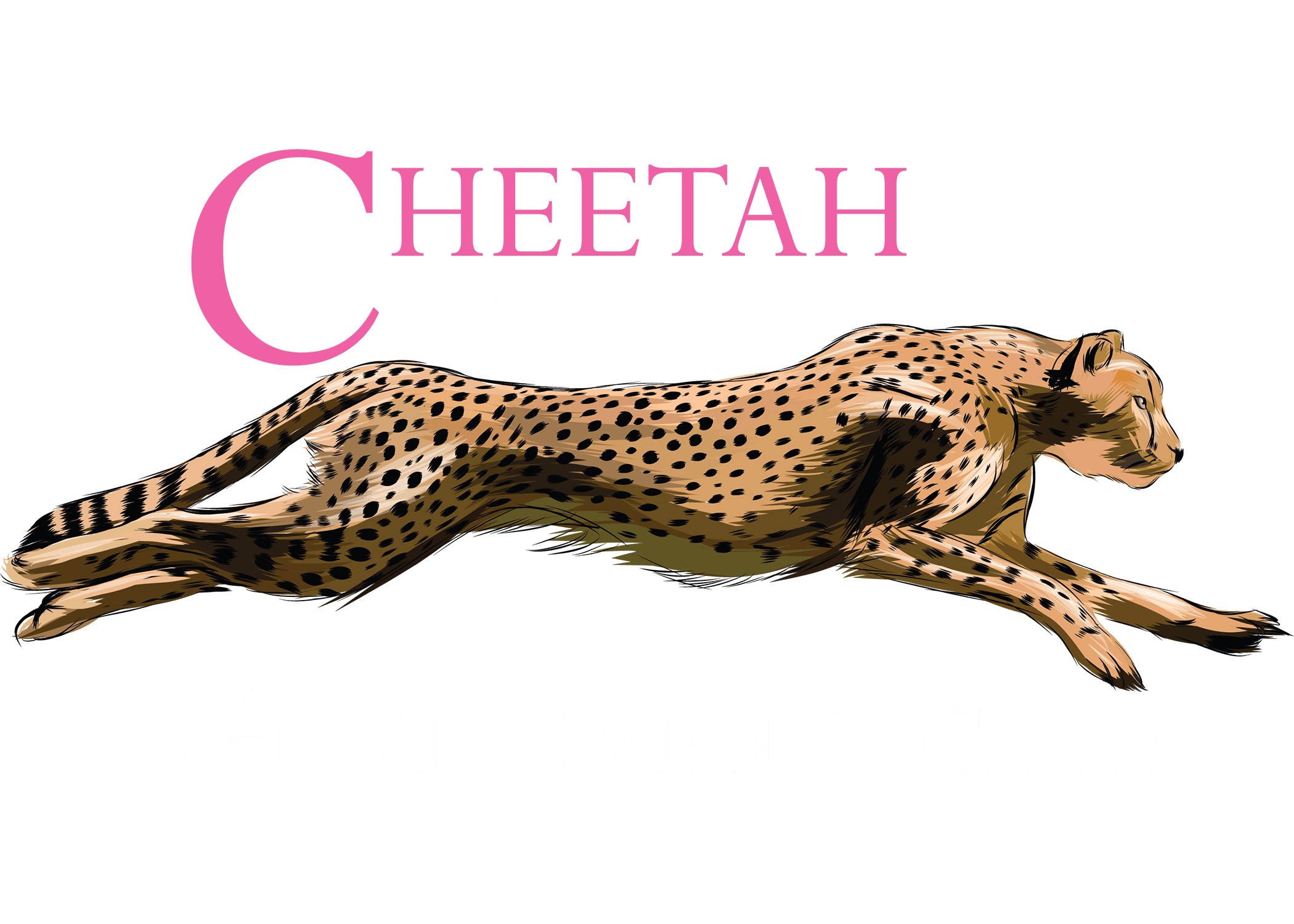 Events Cheetah Florence