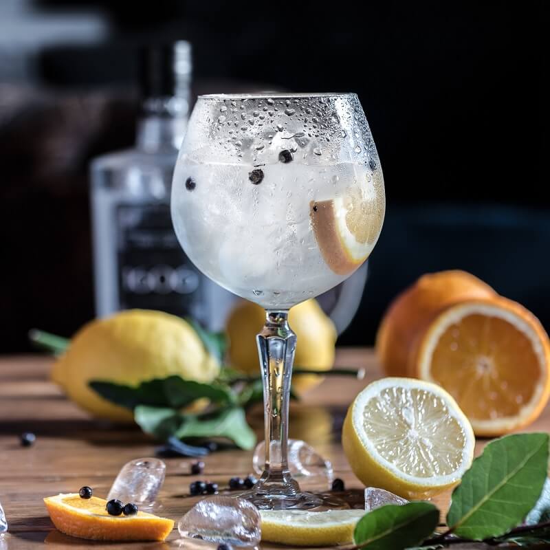 Gin Tônica 3 receitas com especiarias Chef Fácil