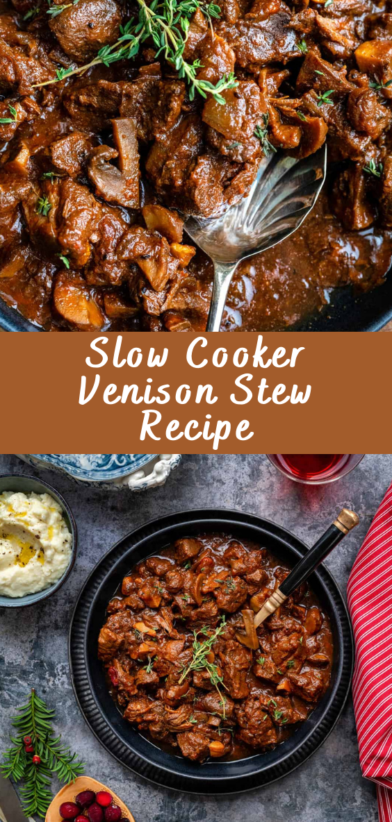 Slow Cooker Venison Stew Recipe Cheff Recipes