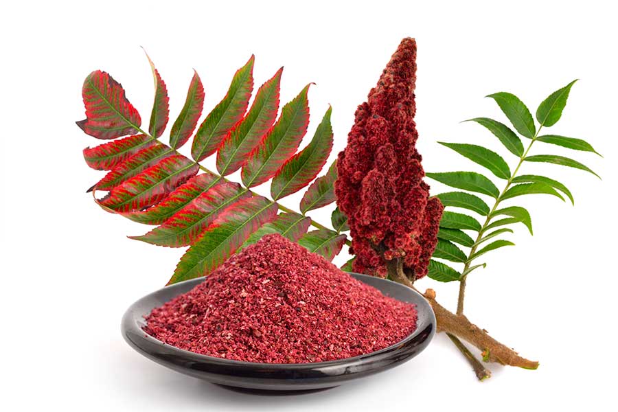 Sumac is a spice made from the dried berry of a wild bush called Rhus