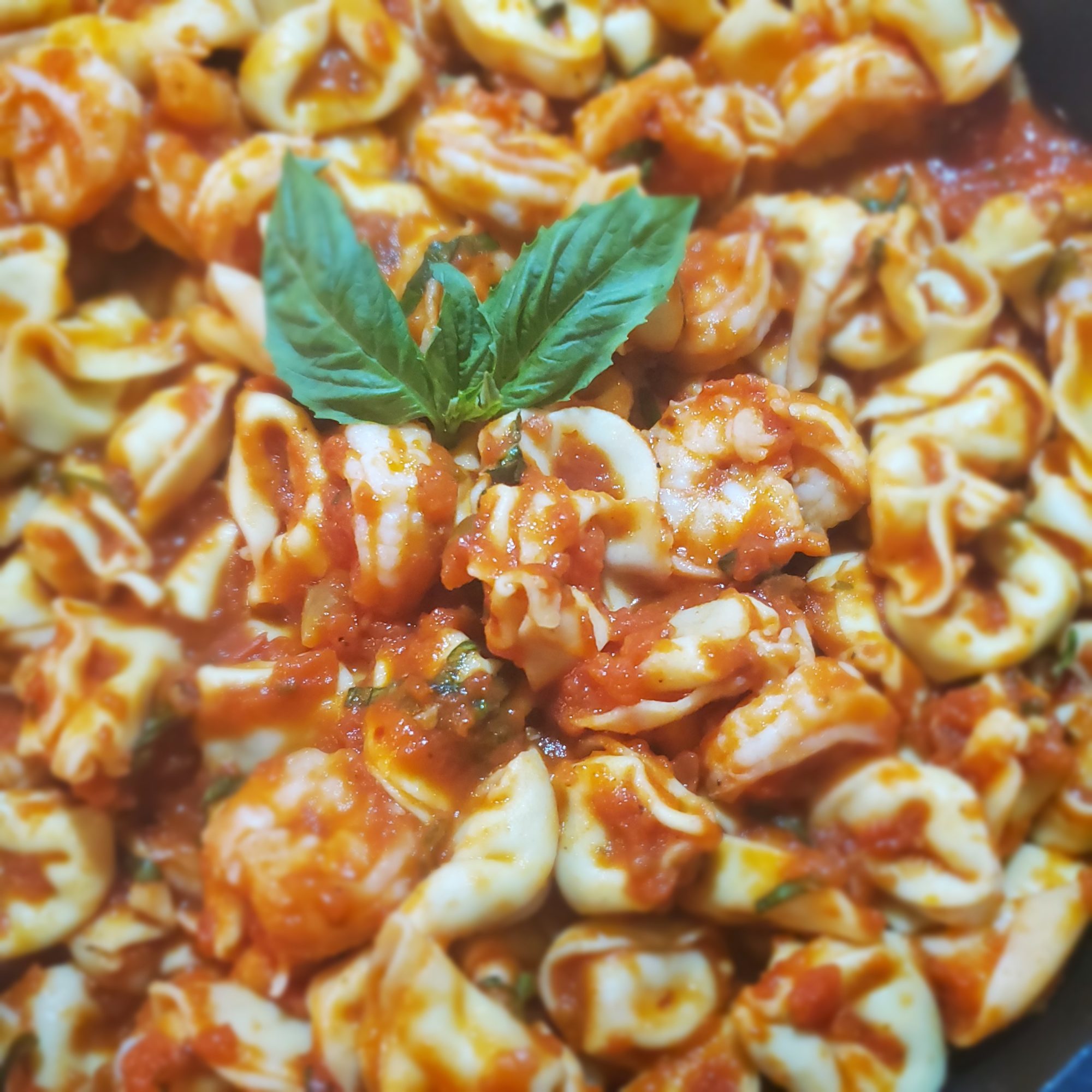 Spicy Shrimp Tortellini Marinara Chef Jamika