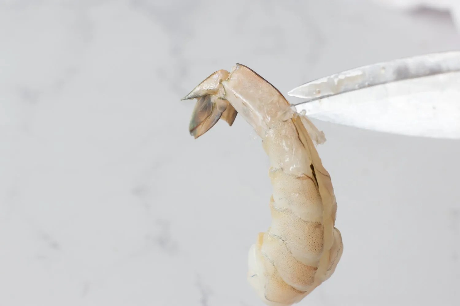 How to Peel and Devein Shrimp Chef