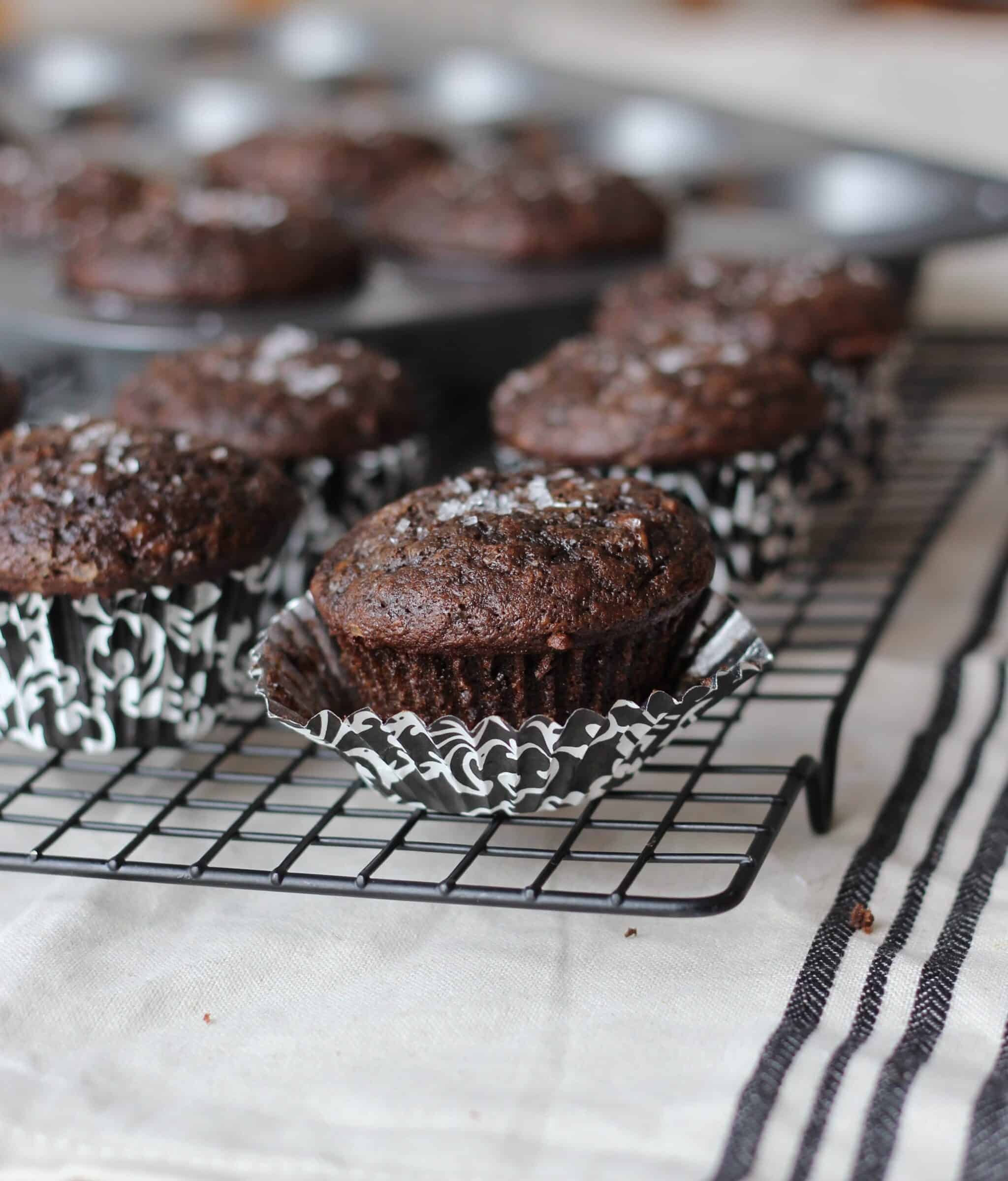 Double Chocolate Banana Muffins!