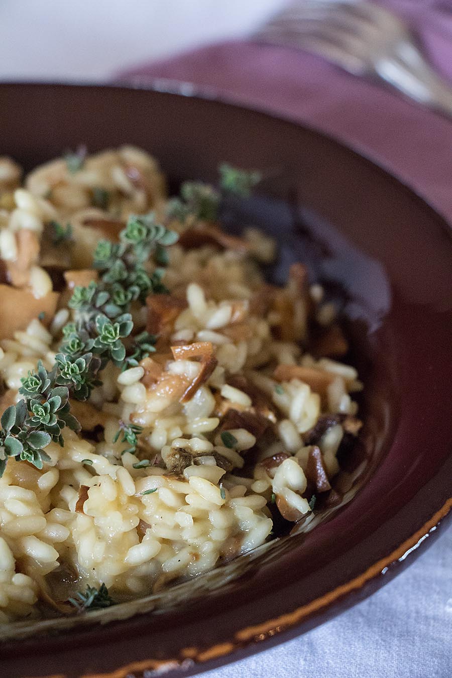 Dried Mushroom Risotto the chef mimi blog