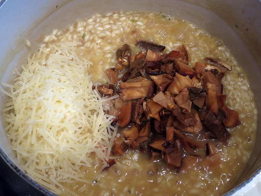 Dried Mushroom Risotto | the chef mimi blog