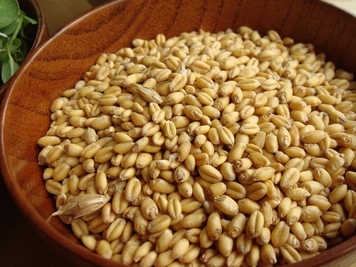 How to Cook Wheat Berries in a Rice Cooker Chef Reader