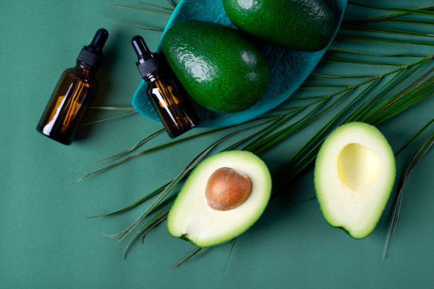 Avocado Oil Production, Effect And Areas Of Application Chef Reader