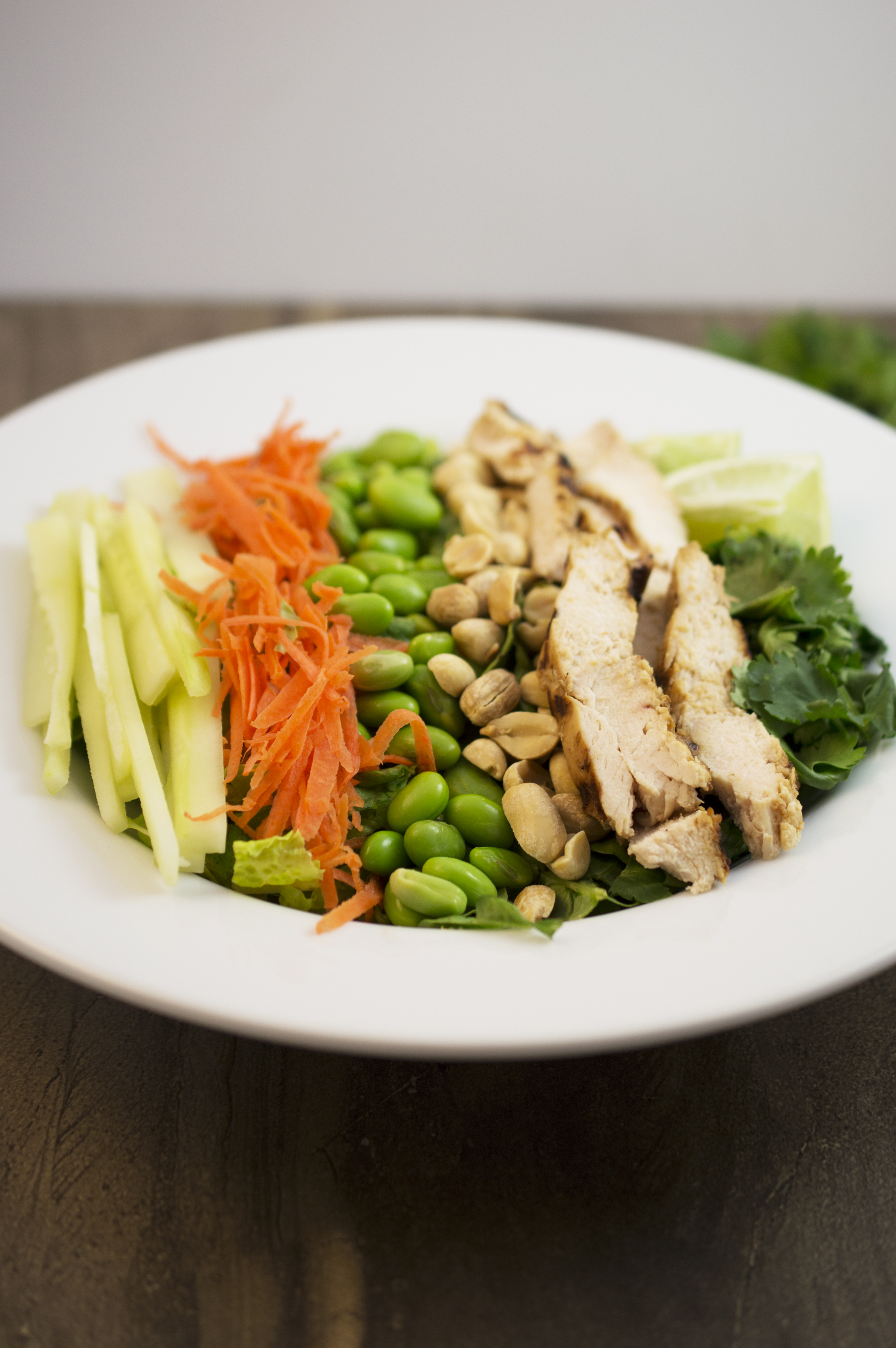 Thai Chicken Salad with Peanut Dressing