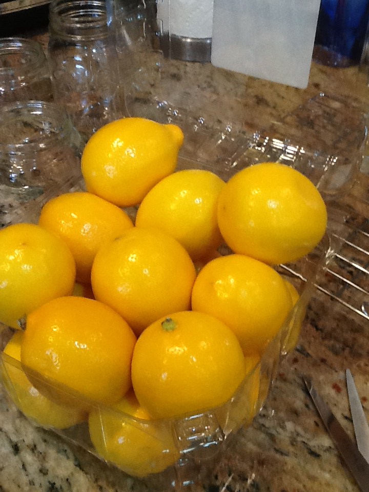 Meyer Lemons » Chefs Last Diet