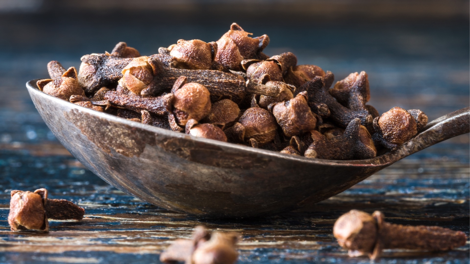 ARCHAEOLOGY OF HERBS & SPICES Cloves Chef's Mandala