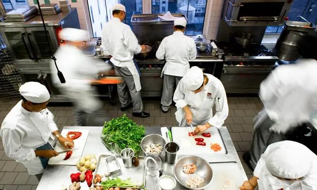 13 Best Culinary Schools in The World Chef's Pencil
