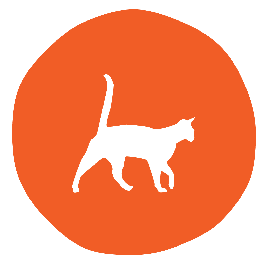 Feeding Guidelines Chef's Pure Pet Food