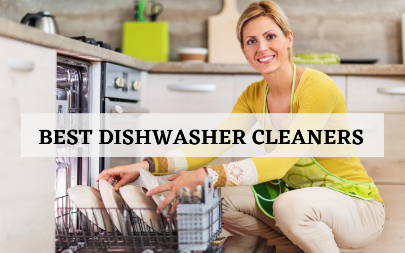 Top 8 Best Dishwasher Cleaners On The Market In 2024 Reviews