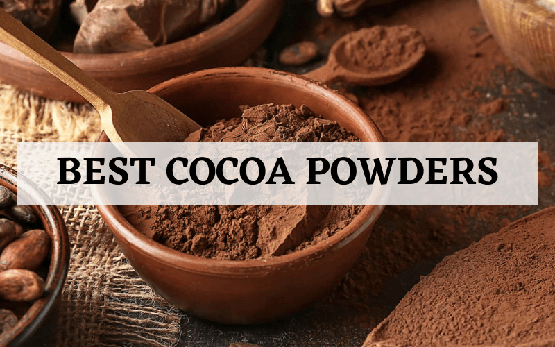 Top 9 Best Cocoa Powders On The Market In 2024 Reviews