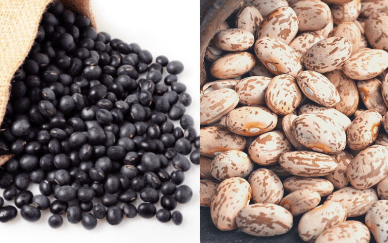 Pinto vs Black Beans Which One Is Better? Chefsresource
