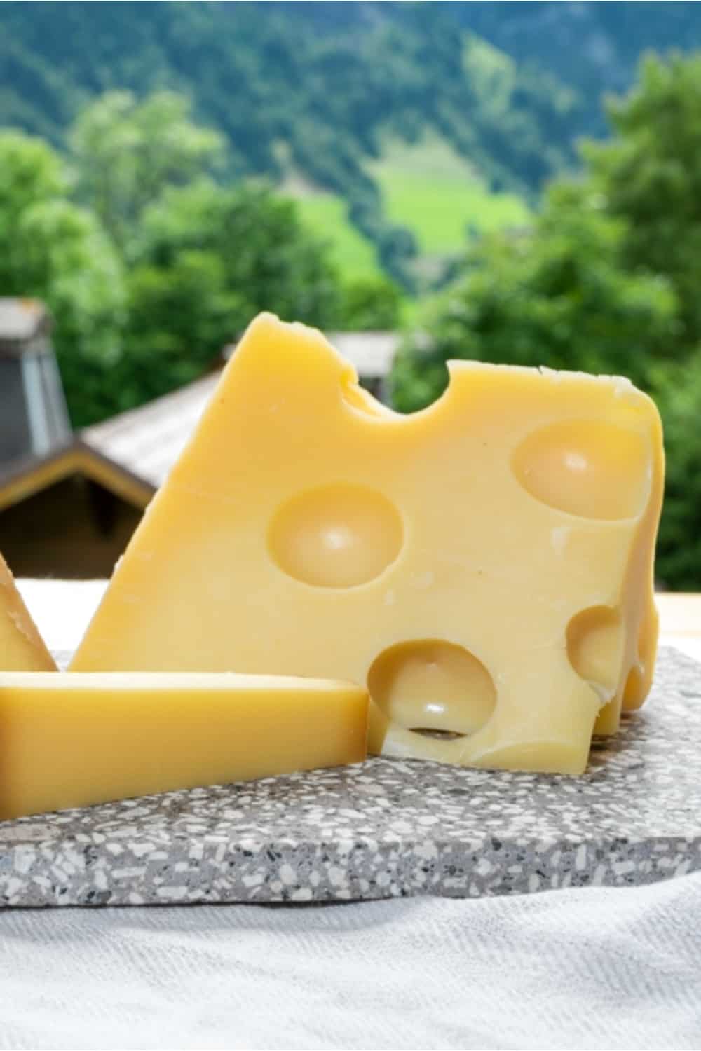 10 Emmental Cheese Substitutes To Unlock Your Cravings