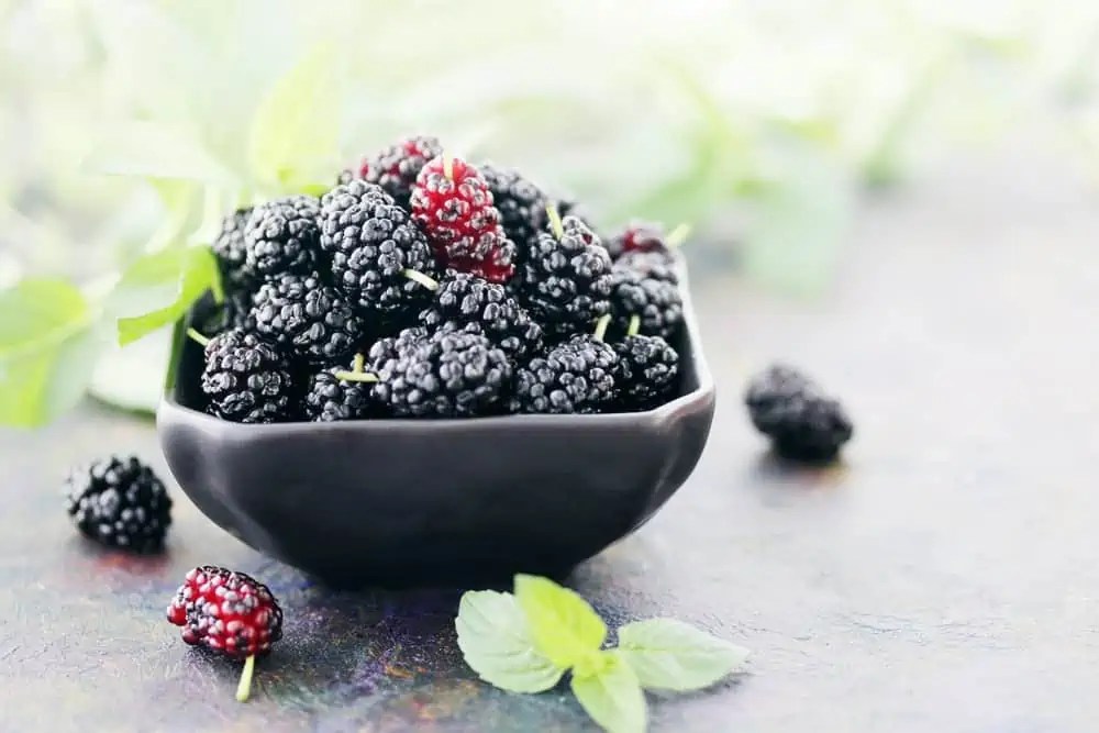 What Do Mulberries Taste Like? Chef Tastes
