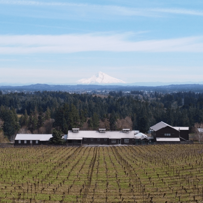 Hawks View Winery Chehalem Mountains