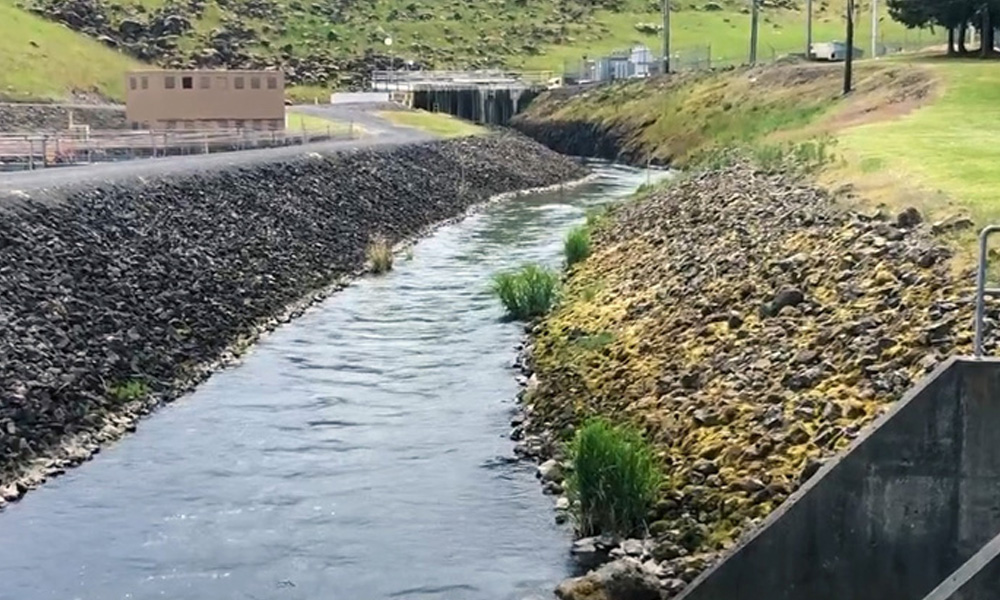 Chehalis Basin Strategy Reducing flood damage, restoring salmon habitat