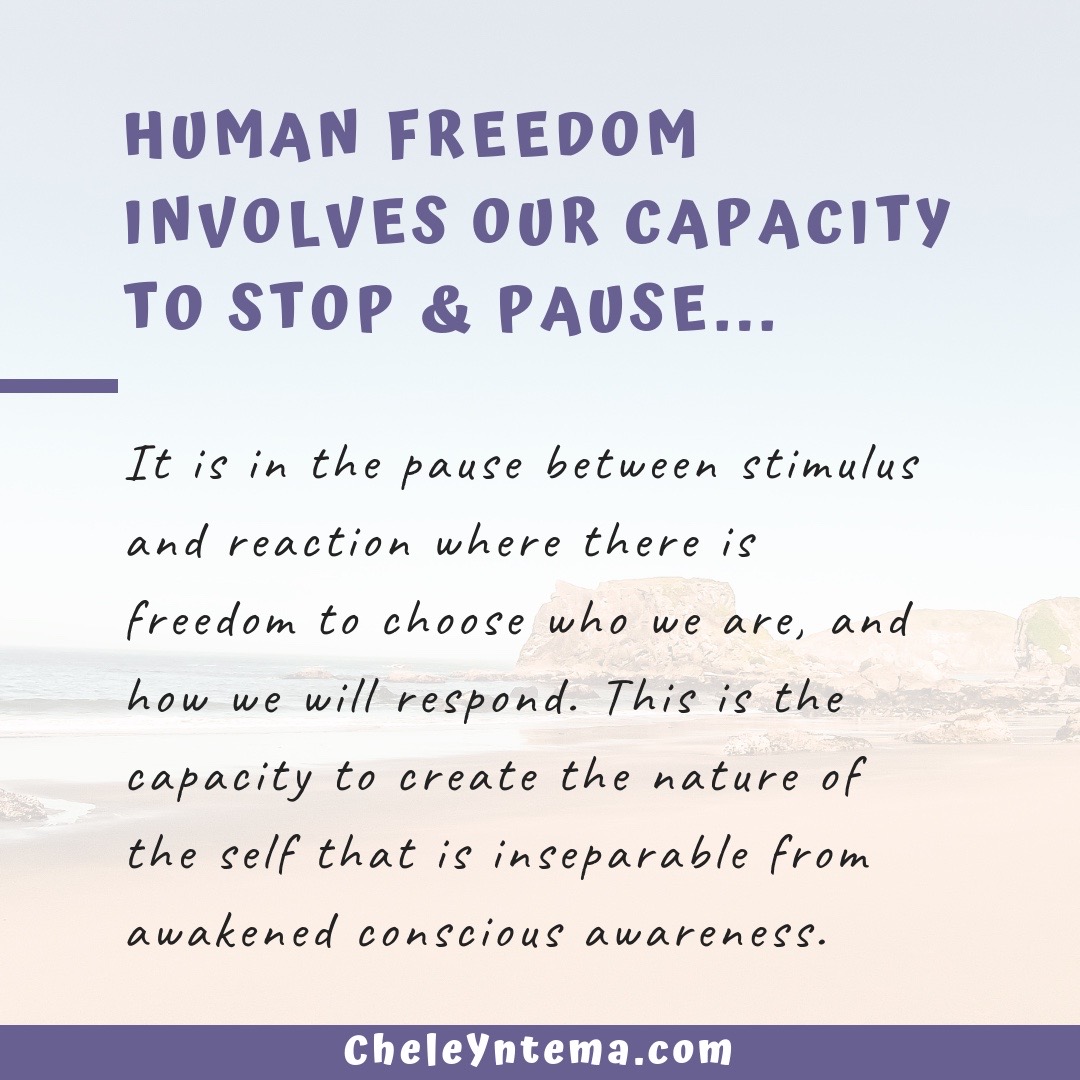 Human Freedom Chele Yntema